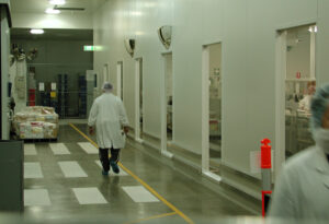 Safety Mirrors in a Factory Environment